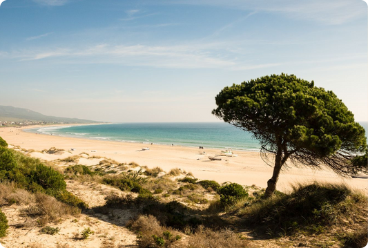 Deliver instant answers