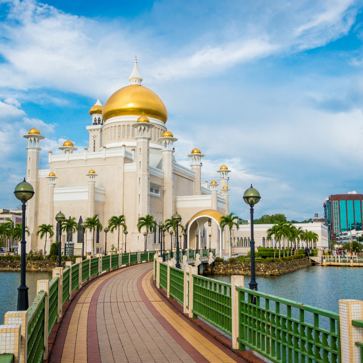 esim-brunei